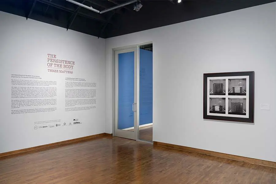 Vista de sala. Obra de Alfredo Quiroz (Ofstudio). Cortes�a MOLAA