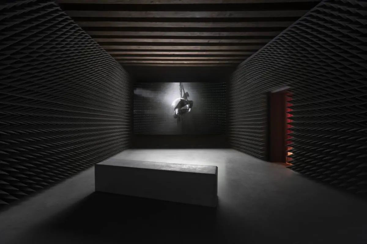 Vista de instalaci�n de Angela Su: emArise, Hong Kong in Venice,/em 2022. Foto de t-space studio, cortes�a de M+, Hong Kong.