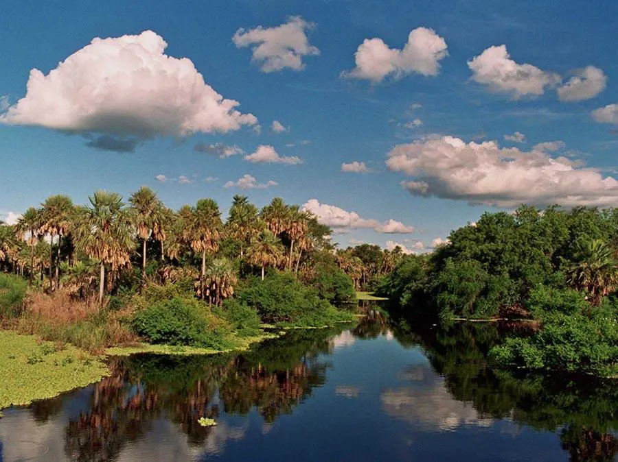 emPantanal Paraguayo, /em2022.�Cortes�a