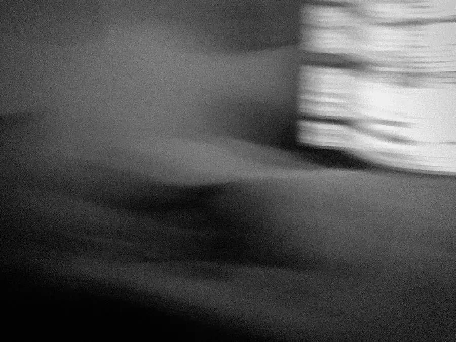 Alejandra Mastro, de la serie emMorfemas, /em2022.�Cortes�a de la artista