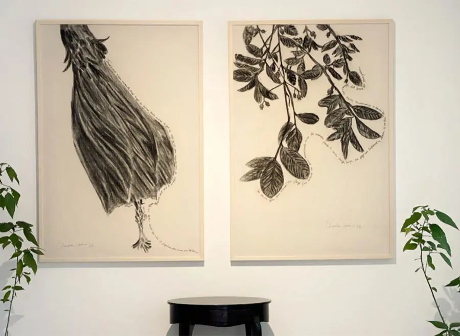 Claudia Casarino. emHibisco dormido/em y emRamas de guayabo/em, 2022. Dibujo a carbonilla y lápiz de ojos. Cortesía
