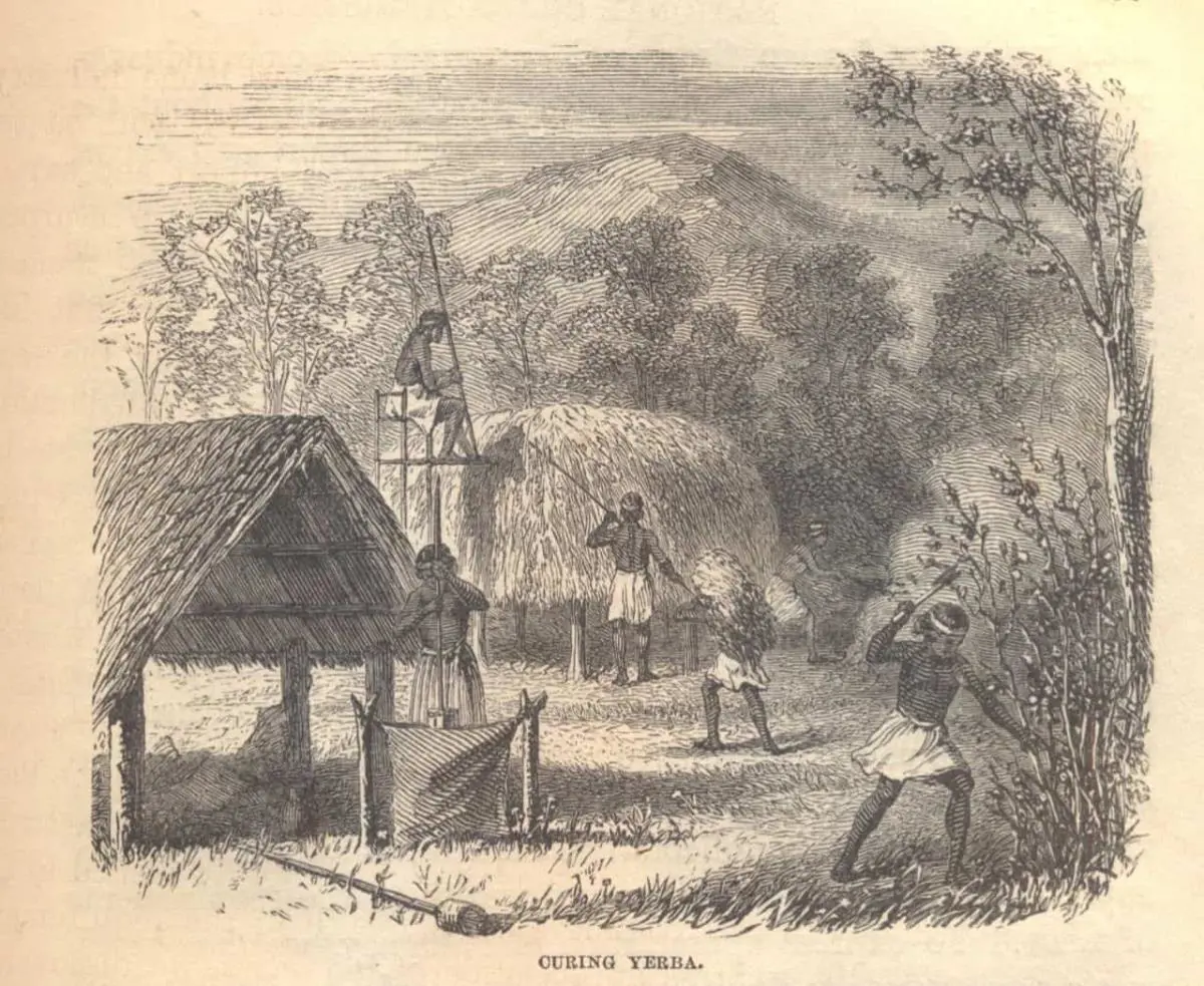 Procesamiento de la yerba. Grabado en metal, en Thomas Page, 1873. Imagoteca Paraguay