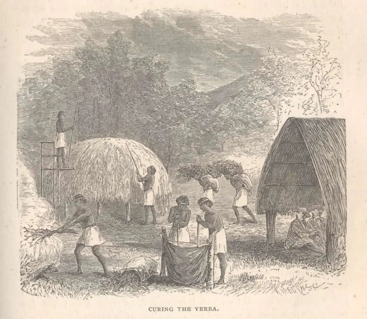 Procesamiento de la yerba. Grabado en metal, en Charles Whasburn, 1871. Imagoteca Paraguay