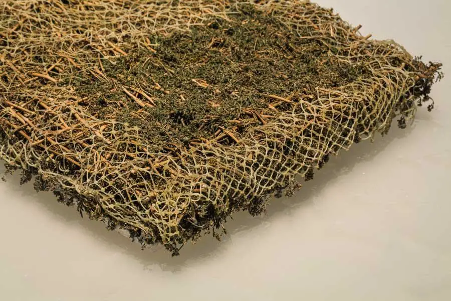 23� Bienal de Sidney. Juliana G�ngora, emCuerpo de leche/em, 2020 (detalle). Cortes�a de la artista y Galer�a Espacio Continuo. The Cutaway, Barangaroo (Document Photography)