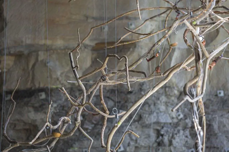 23� Bienal de Sidney. Tania Candiani, emWaterbirds: Migratory Sound Flow,/em 2022 (detalle). The Cutaway, Barangaroo (Document Photography)