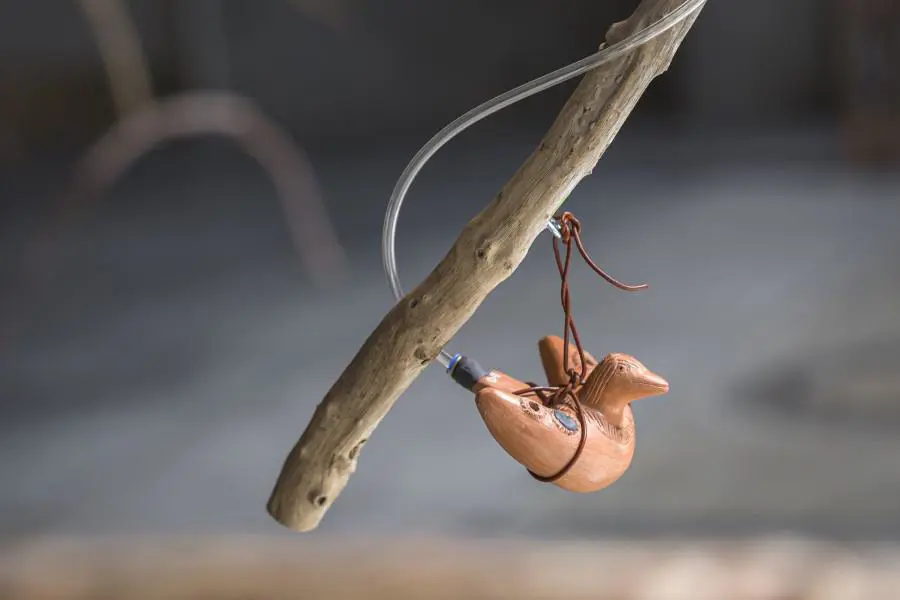 23� Bienal de Sidney. Tania Candiani, emWaterbirds: Migratory Sound Flow,/em 2022 (detalle). The Cutaway, Barangaroo (Document Photography)