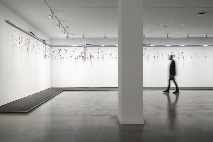 23� Bienal de Sidney. Robert Andrew, emWater waking country - Wulani yinamirlgan buru/em, 2022-en proceso. Instalaci�n. Obra comisionada por la Bienal de Sidney con el apoyo del Australia Council for the Arts. Cortes�a del artista y Milani Gallery, Brisbane. Museum of Contemporary Art Australia (Document Photography)