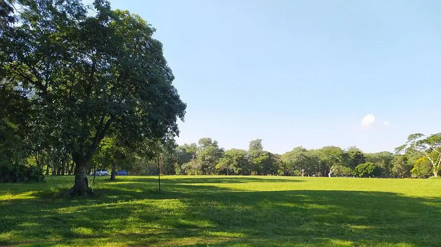 Jardín Botánico de Asunción. Vista actual de la Pradera Recreo. Archivo de la cátedra Historia de la Arquitectura del Paisaje en Paraguay (FADA-UNA)