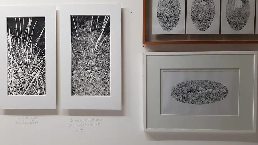 Wolfgang Krauch, muestra 