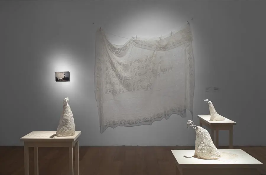 M�nica Mill�n. De la serie emEl v�rtigo de lo lento,/em 2002. Vista de sala � Nacho Iasparra. Cortes�a MALBA