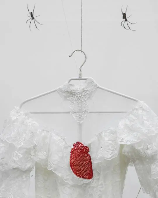 Joaqu�n Sanchez.em S�, quer�a,/em 2001-2022. Bio-instalaci�n. Vestido de novia, encaje de �andut�, ara�as vivas, caja de cristal. Cortes�a MALBA