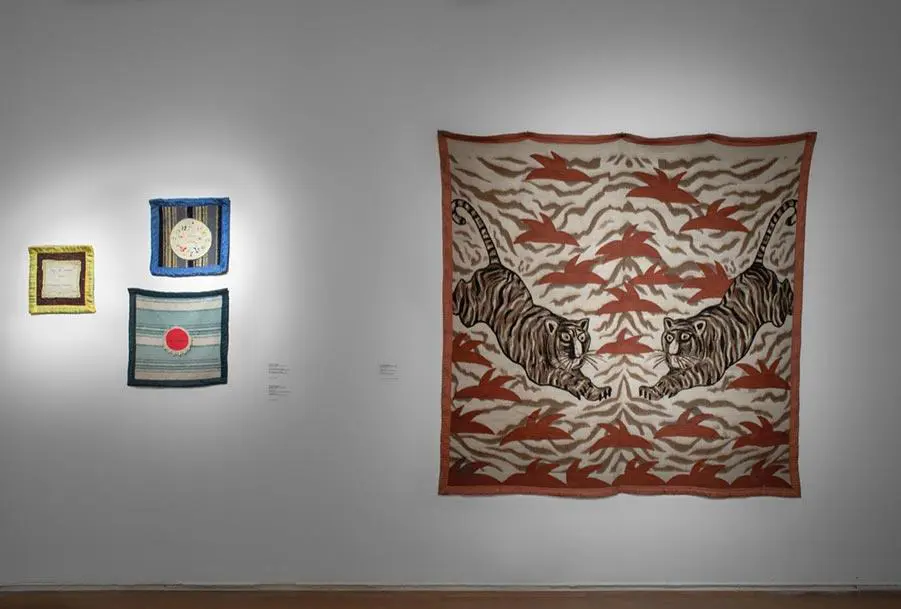 Obras de Feliciano Centuri�n � Nacho Iasparra. Cortes�a MALBA