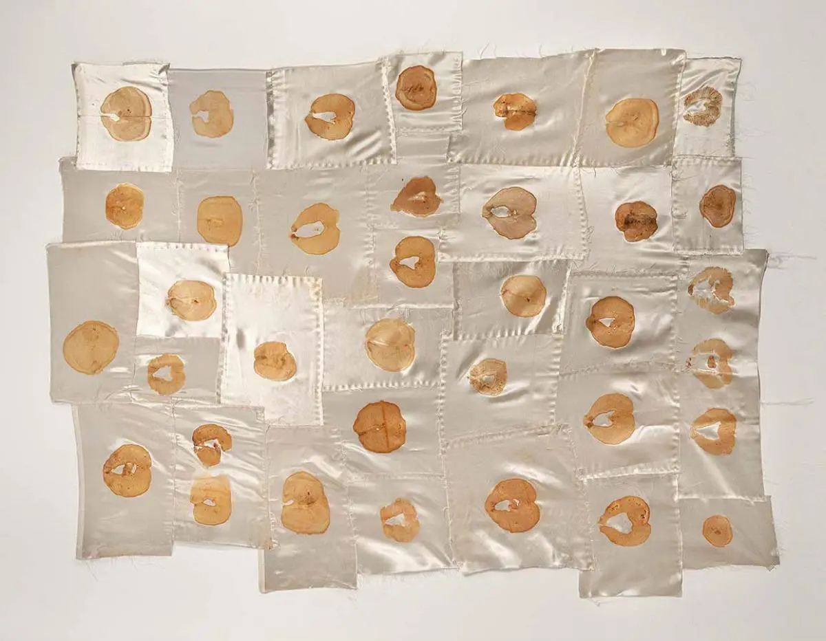 Karina Yaluk. emDe los ojos del aire y de los acontecimientos en el jard�n nocturno/em, 2001. Fragmentos de sat�n con registros de agallas de peces. Cortes�a MALBA