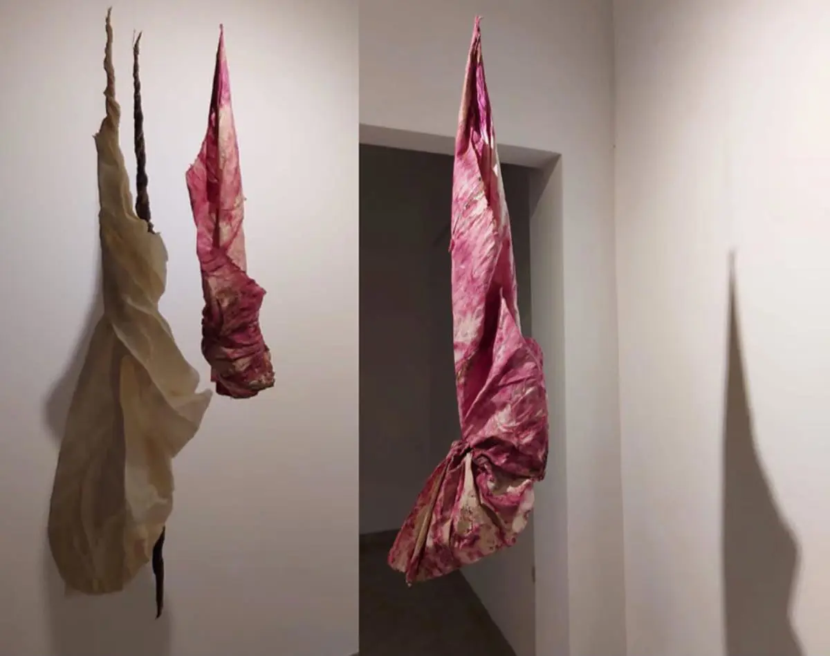 Gustavo Benítez. emCrisálidas,/em instalación. Archivo