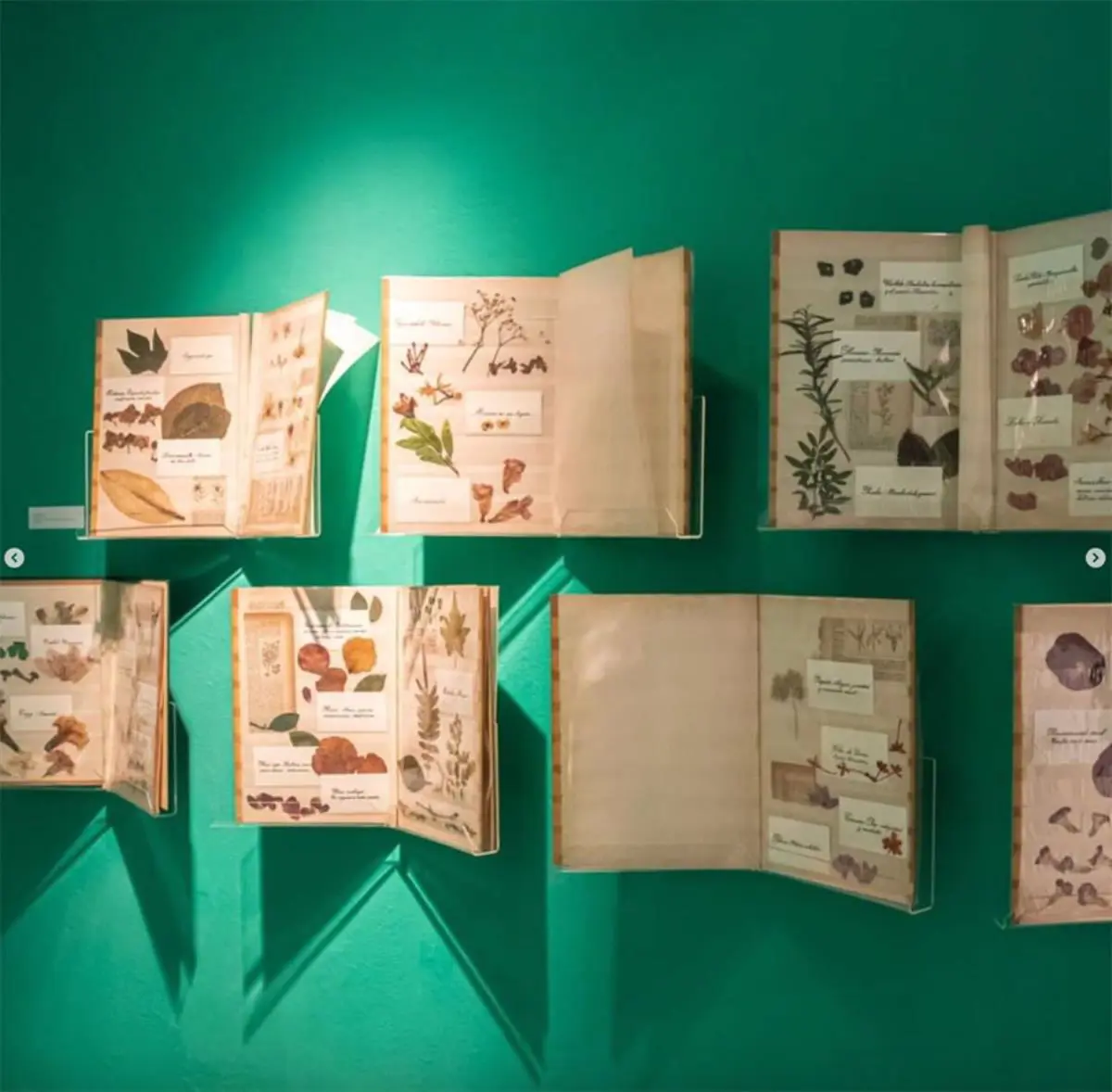 Galer�a F�brica. emLa casa de las palabras/em, muestra de Silvana Dom�nguez. Cortes�a