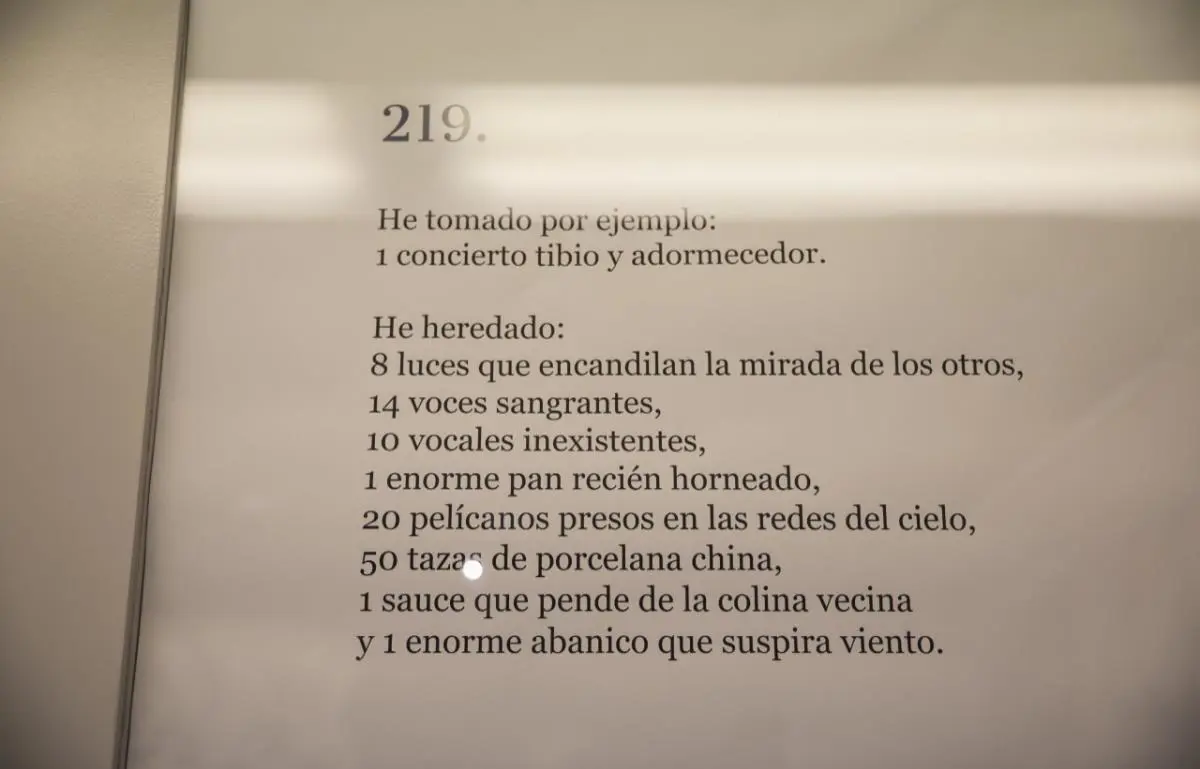 Ricardo Migliorisi,em 713/em. Uno de los poemas del volumen � Laura Mandelik