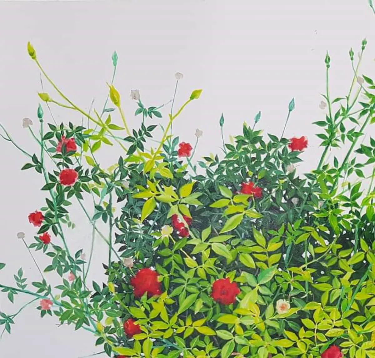 Obra de Yuki Hayashi. Cortes�a