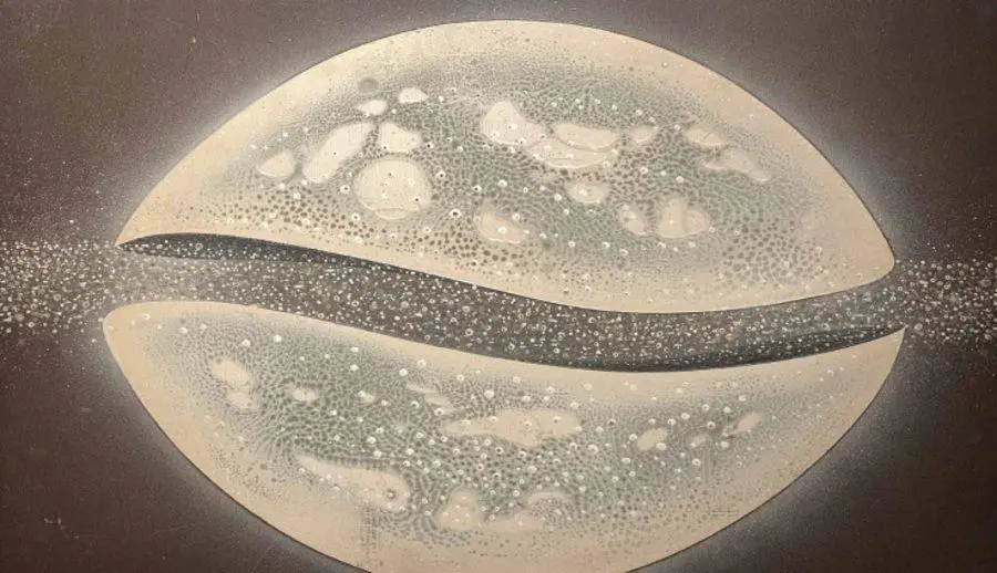emGalaxia del sombrero, /em1979, Pintura, t�cnica mixta. Cortes�a
