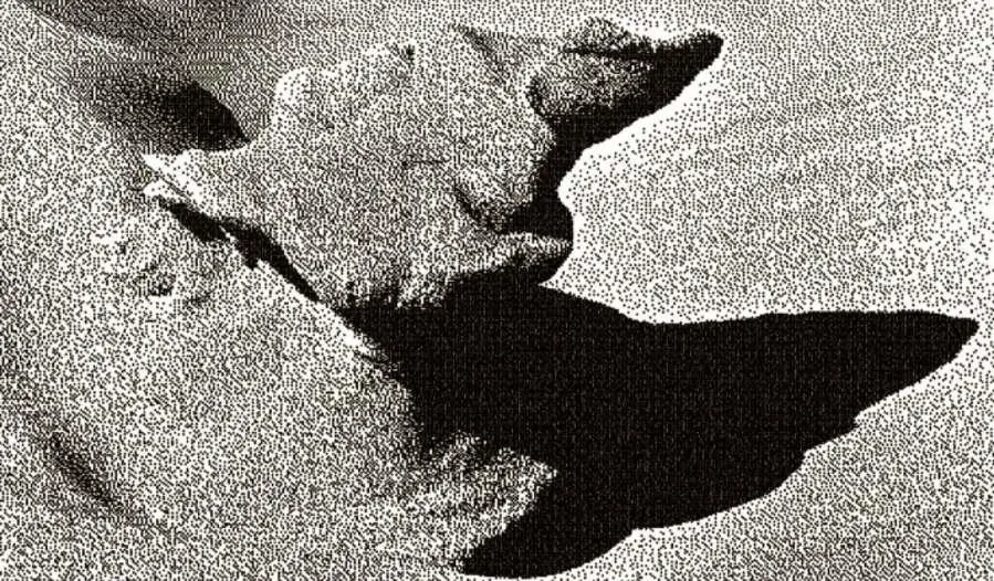 emEscultura del m�s all�,/em 1979. Fotograf�a intervenida, 70 x 106 cm. Cortes�a