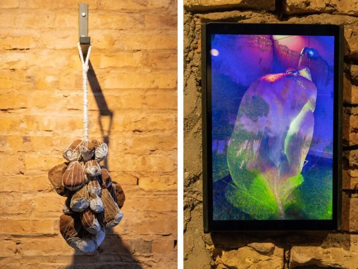 Obras de Paz Moreno (Premio Open Borders / Fronteras Abiertas) y Camila Bonamigo (Premio Faro Eduka). Cortes�a