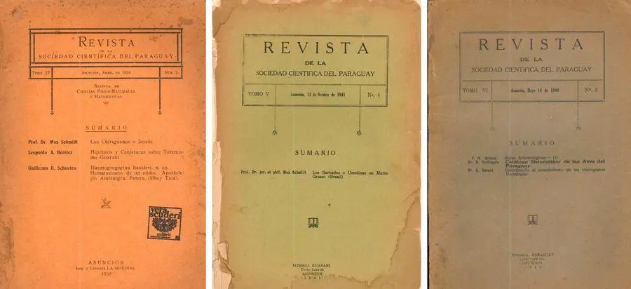 Colecci�n Vera-Scuderi. Cortes�a