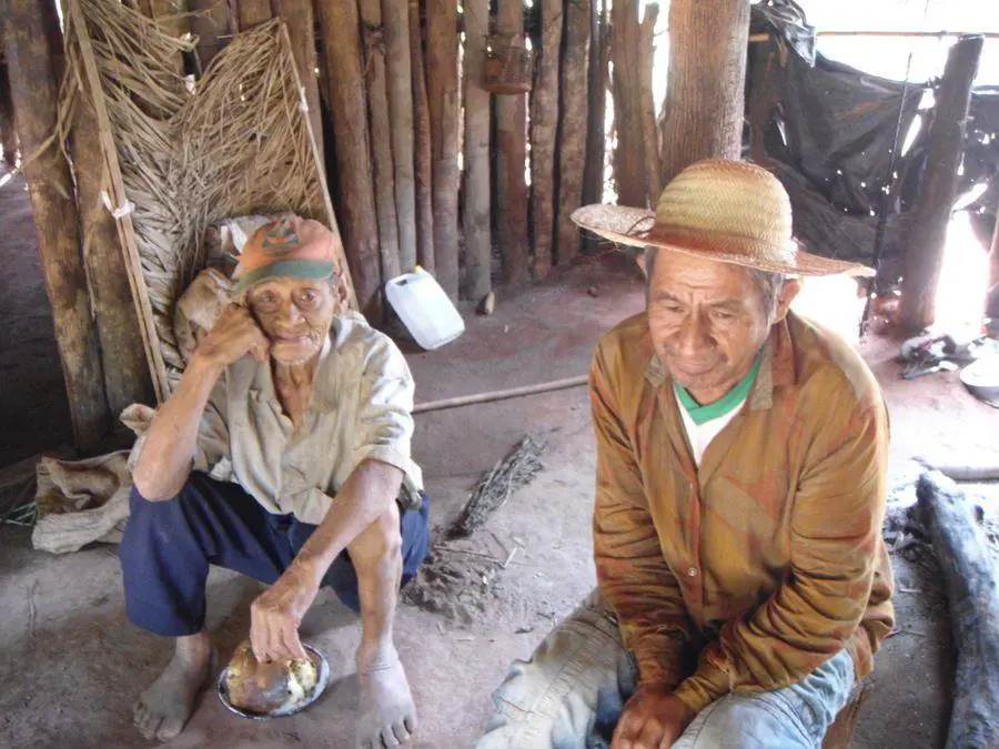 Cortes�a