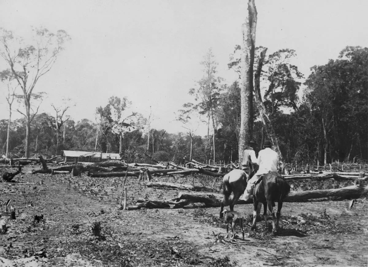 Franceses en Colonia Gonz�lez, 1894. emAuguste Fran�ois en Paraguay,/em Fondec, 2011. Cortes�a