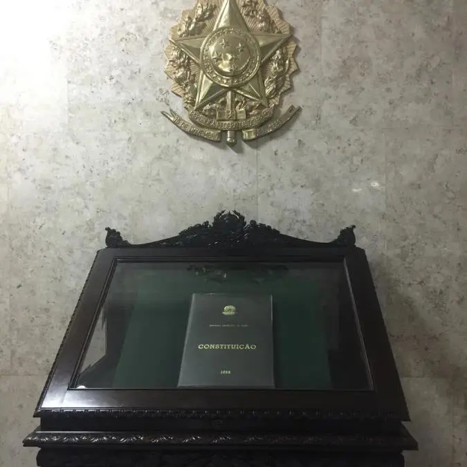 Ejemplar de la Constitución Nacional. Robado. Cortesía