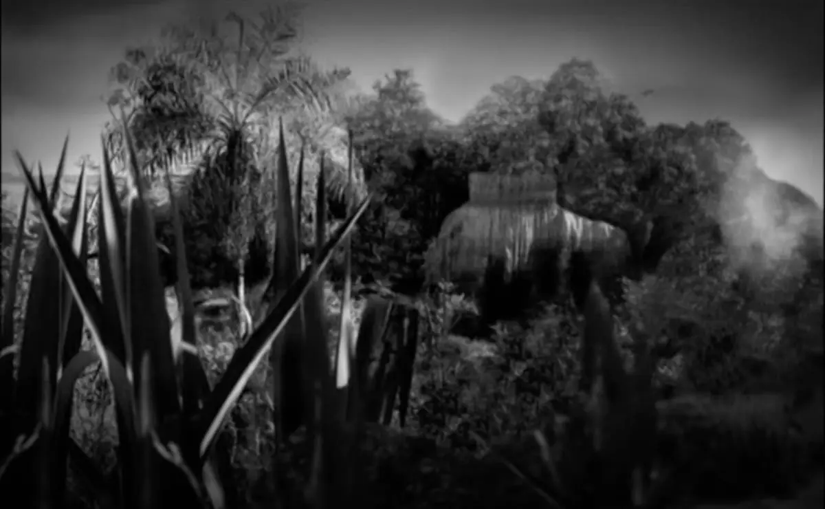 Luna Paiva, emPaiva Paraná Paiva/em, 2011. Cortesía