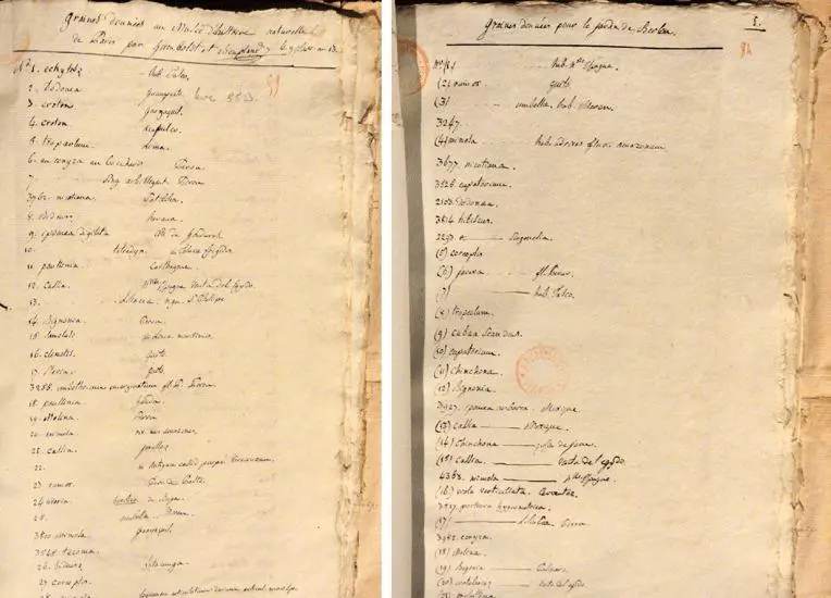 Listas de semillas enviadas por Alexander von Humboldt y Aim� Bonpland al Museo de Historia Natural de Par�s, en 1813, y al Jard�n Bot�nico de Berl�n. Mediateca de La Rochelle. Cortes�a