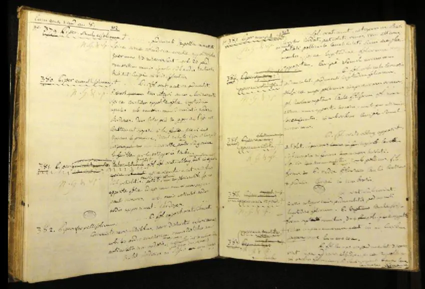 Notas de campo originales (emJournal de Botanique/em) recopiladas por Aim� Bonpland durante su viaje con Alexander von Humboldt a las regiones neotropicales. Biblioth�que Centrale, Museo de Historia Natural de Par�s. Cortes�a