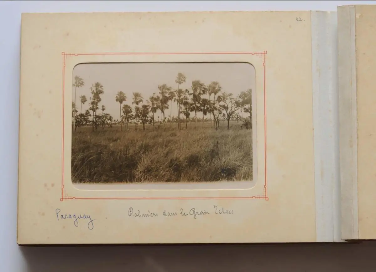 Auguste Fran�ois. Palmares en el Gran Chaco, Paraguay, 1894 � Annick Bienvenu