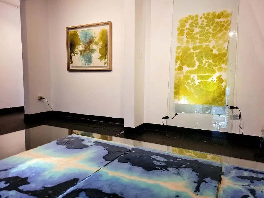 Gustavo Benítez, emVórtices fantásticos/em. Vista de sala. Cortesía