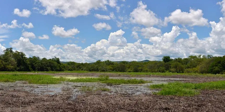 Laguna Cerro Leo?n � Fernando Allen