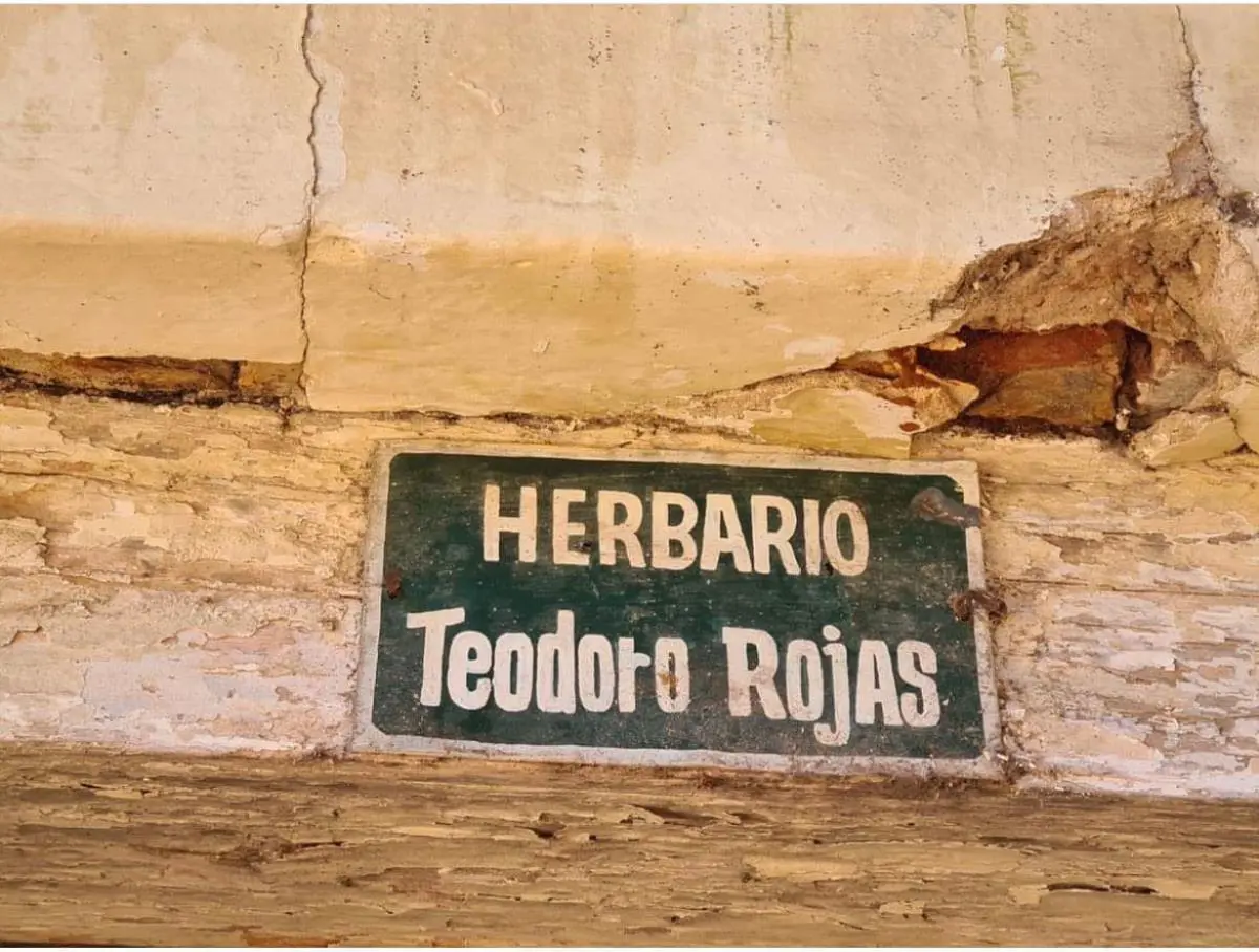 Herbario 