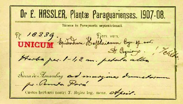Etiqueta de Herbarium. Colecta de Hassler y Rojas, Ginebra. Fuente: Carlos Ossenbach y Rudolf Jenny. Cortes�a