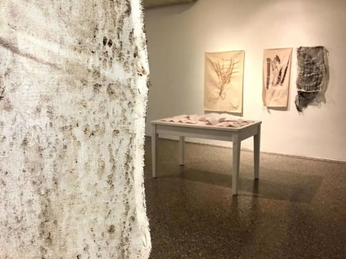 emParpadeos,/em muestra de Marcos Benítez en el CCU, Corrientes. Vista de sala. Cortesía