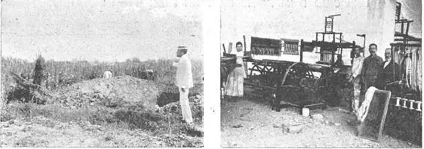 Cosecha del cáñamo. Talleres municipales de tejidos, Buenos Aires. emCaras y Caretas/em, 1900. Cortesía