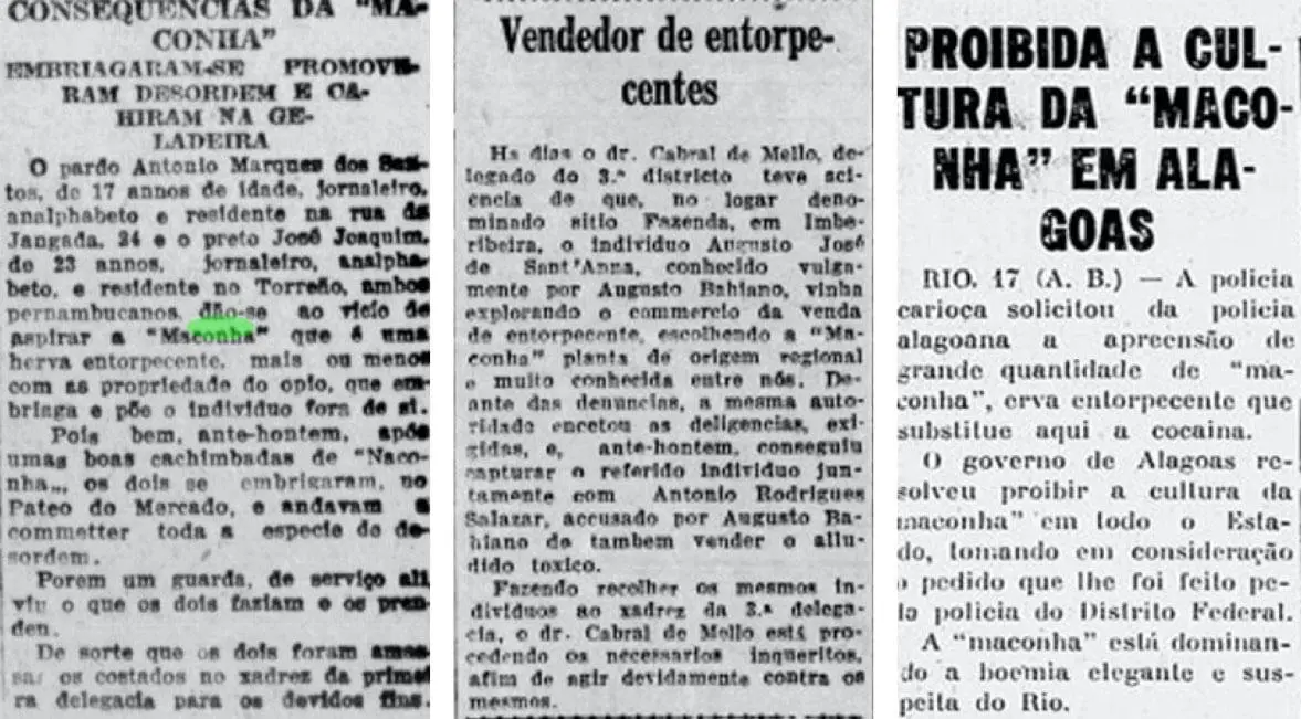 “Consecuencias de la maconha” y “Vendedor de estupefacientes” (emJornal do Recife/em, 1929). “Prohibida la cultura de la marihuana en Alagoas” (emO Jornal, /em1936). Archivo del autor
