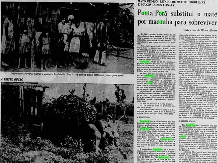“Ponta Porã sustituye el mate por la marihuana para sobrevivir” (emJornal do Brasil/em, 1960). Archivo del autor