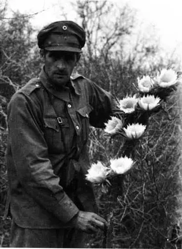 Adolfo Friedrich. Ca. 1934. Cortes�a