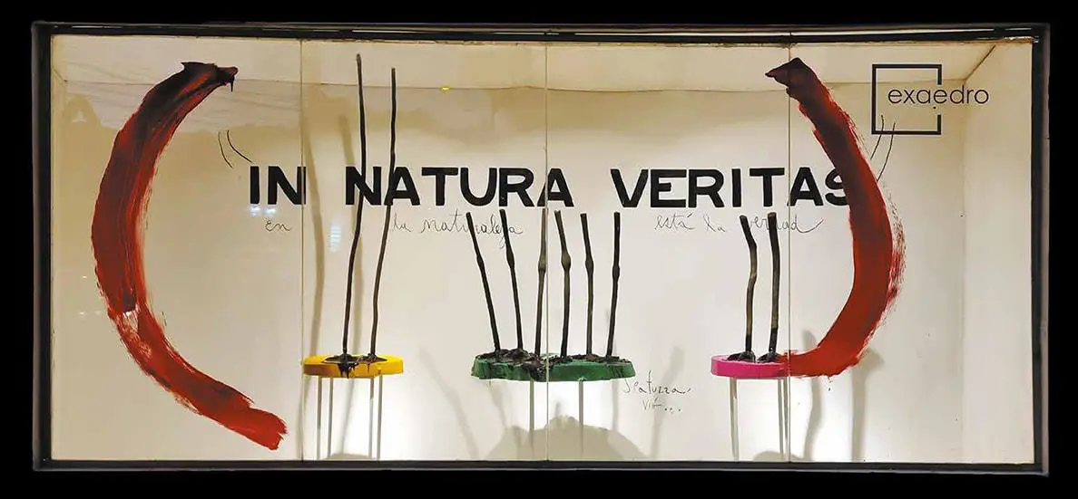 Carlos Spatuzza, emIn natura veritas/em, 2022. Cortes�a