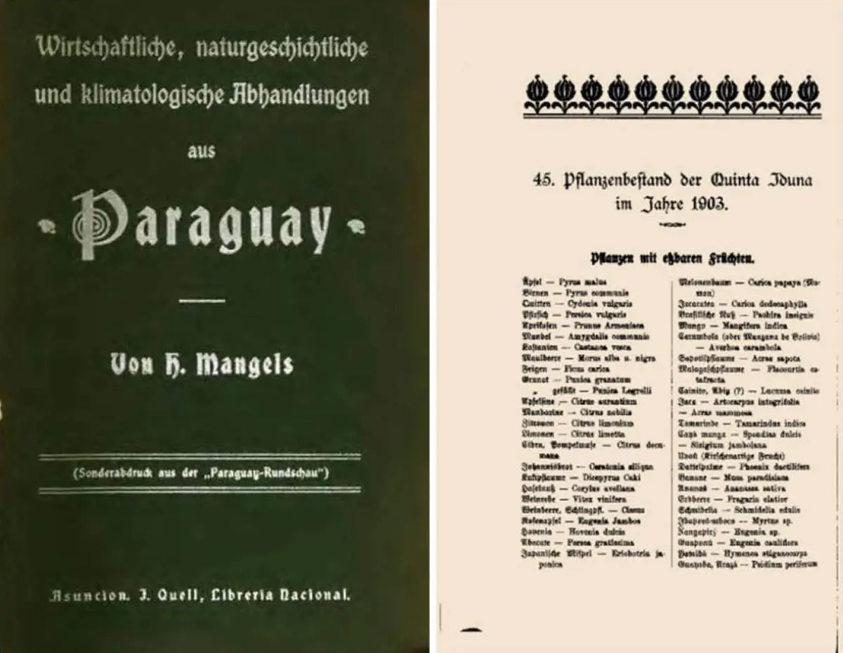 Portada e interior del libro emTratado de Economía, historia natural y climatología del Paraguay/em, de Henry Mangels, 1904. Cortesía