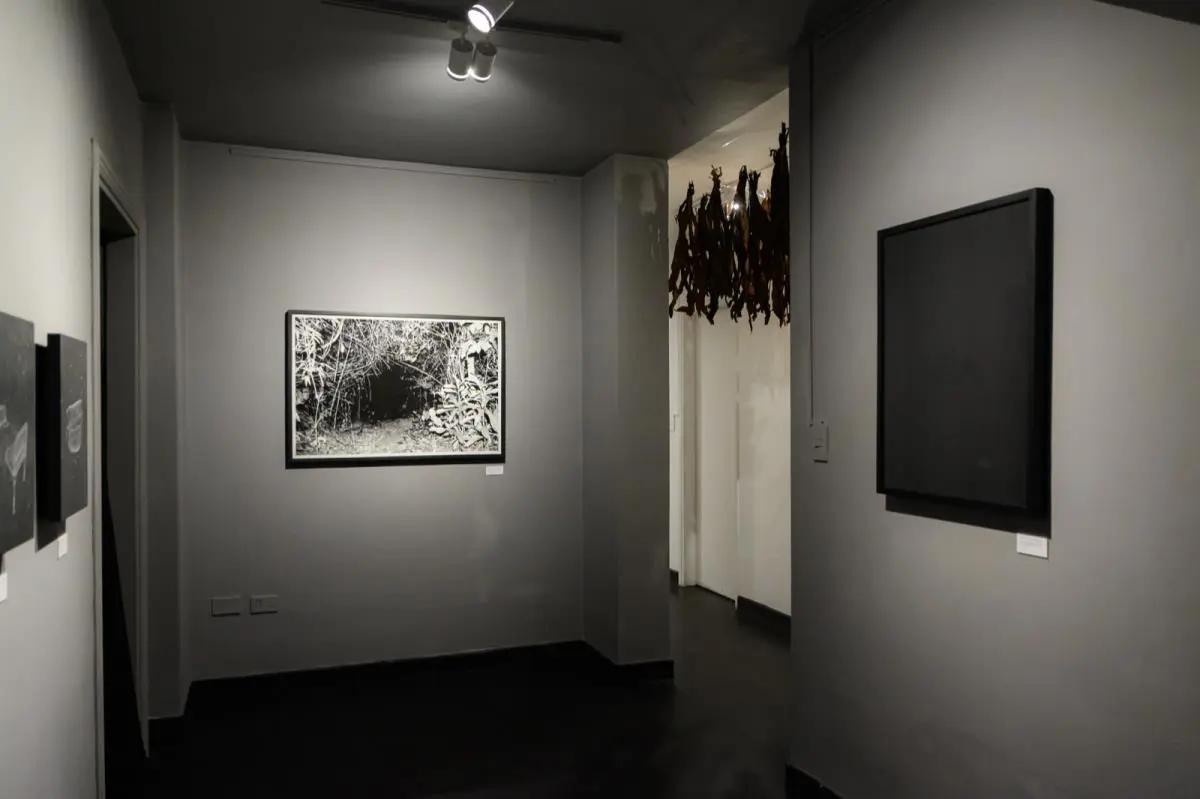 Luvier Casali, muestra 
