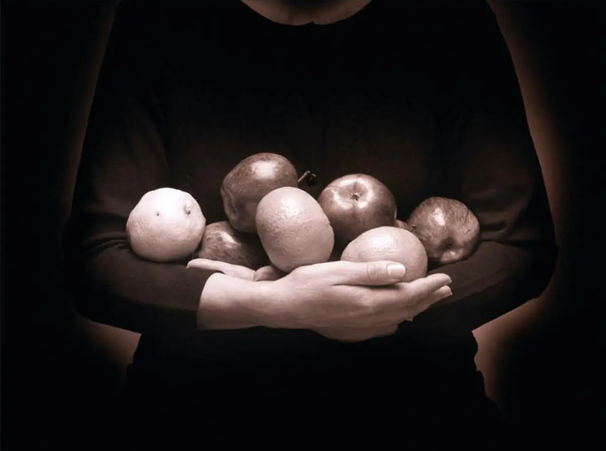 Matilde Mar�n, emNaturaleza muerta/em, 2001-2005. Fotograf�a anal�gica. Cortes�a de la artista