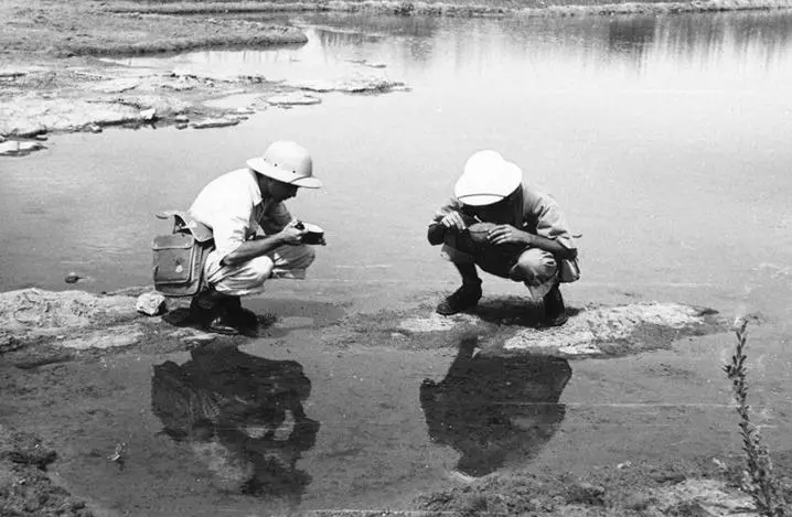 Personal de la Fundaci�n Rockefeller buscando larvas de mosquitos en Cear�, Brasil. Rockefeller Archive Center