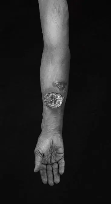 Alfredo Quiroz, emRevelaciones/em, 2023. Fotograf�a digital. Impresi�n sobre papel. Cortes�a