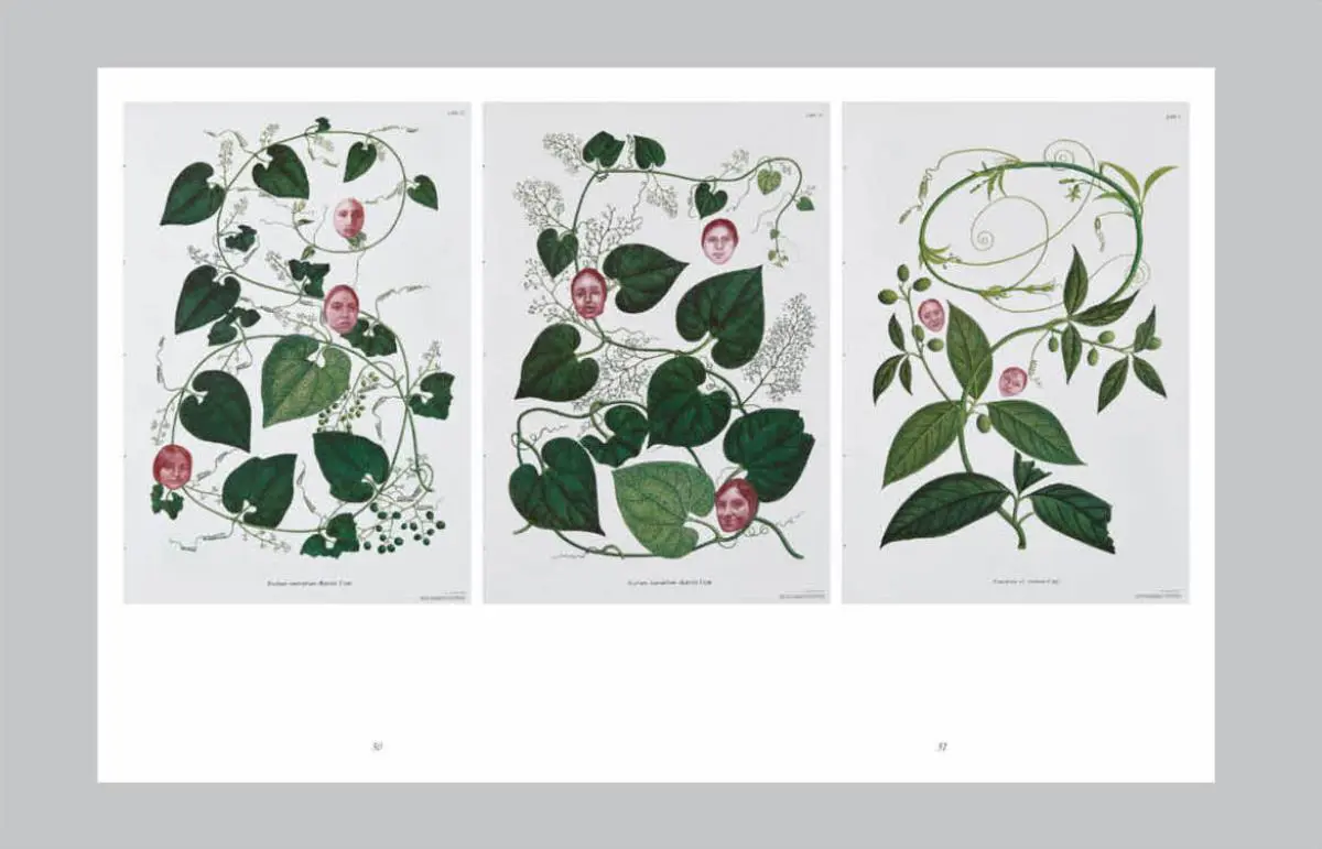 Páginas del catálogo de la exposición emEl orden de los factores/em, 2021, Museo Amparo, Puebla, México.