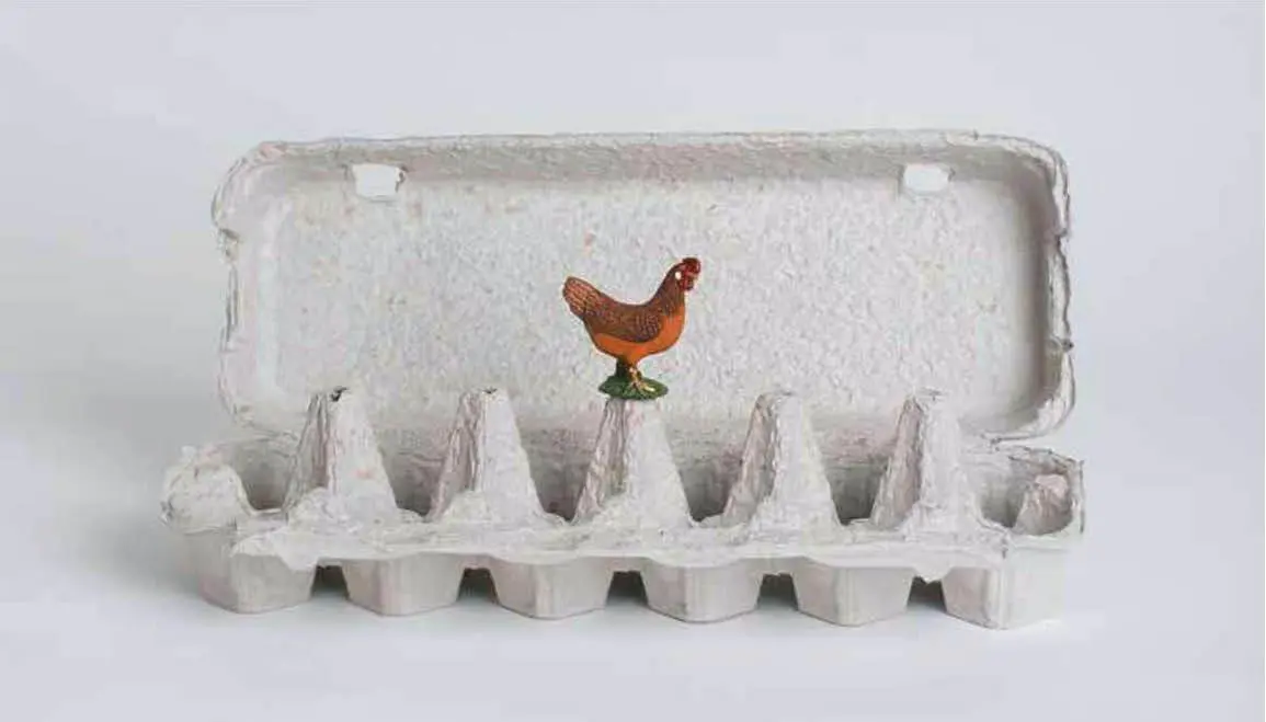 Laura Mandelik, emLa gallina de los huevos robados/em, 2015, fotograf�a. Cortes�a