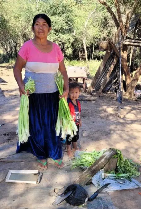 Elaboraci�n de fibra de caraguat�. Cortes�a